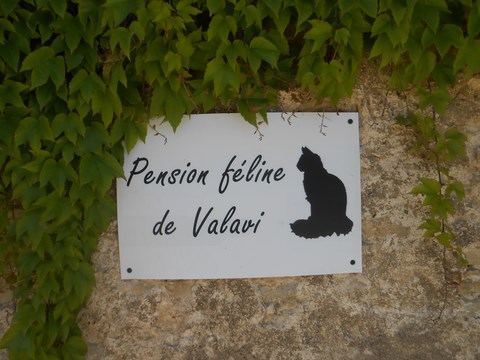 Pension de Valavi